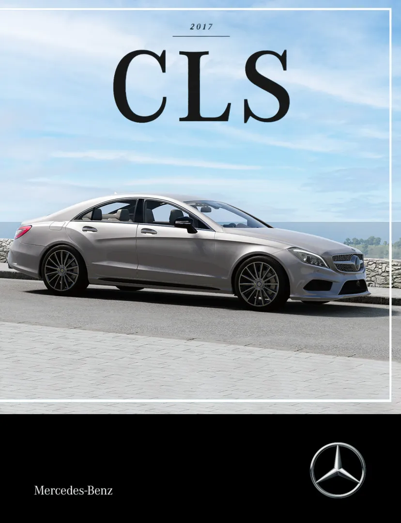 Mercedes-Benz CLS-Class [PACK] image 7