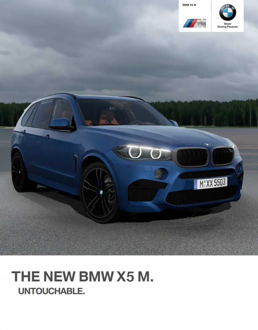 BMW X5 (F15/F85) image 8