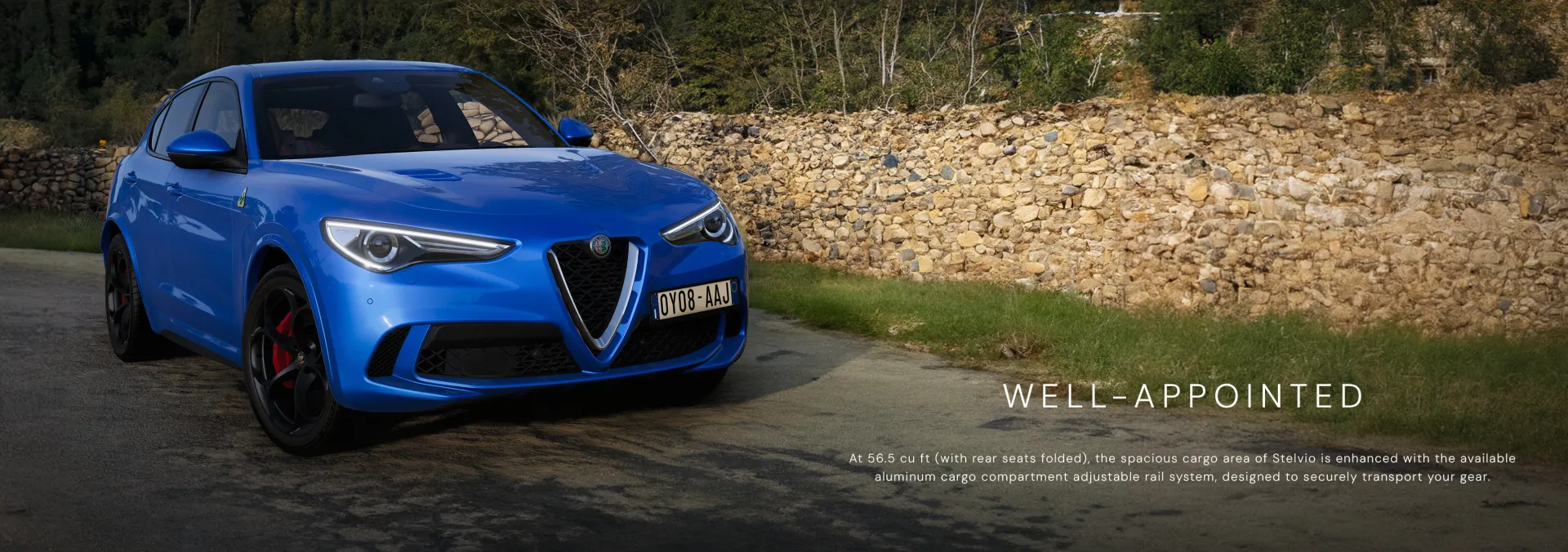 Alfa Romeo Stelvio Quadrifoglio image 8