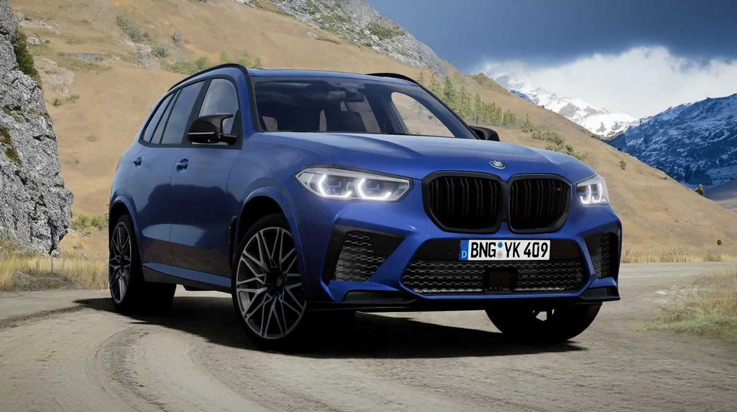 BMW X5M (F95)