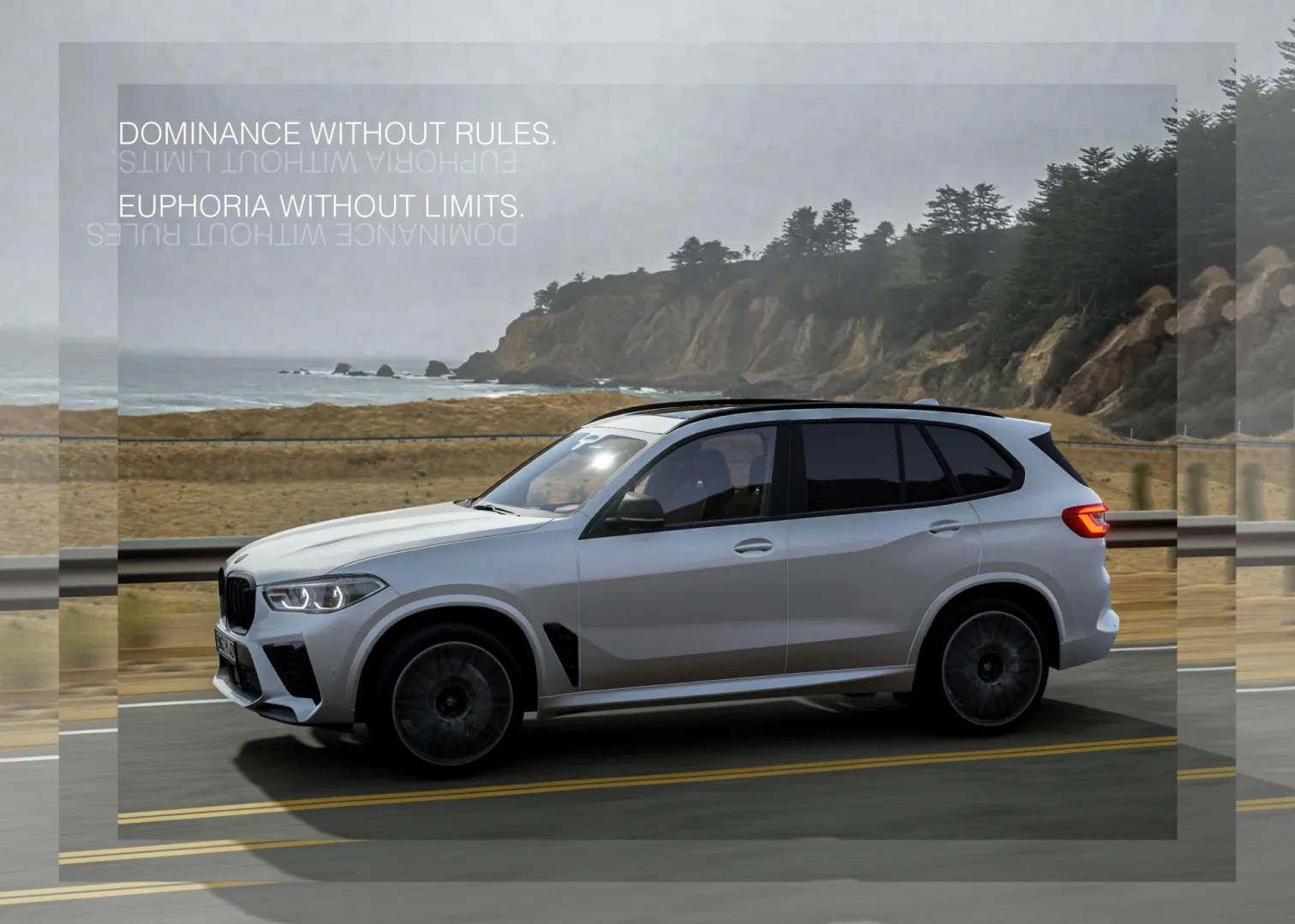 BMW X5M (F95) image 4