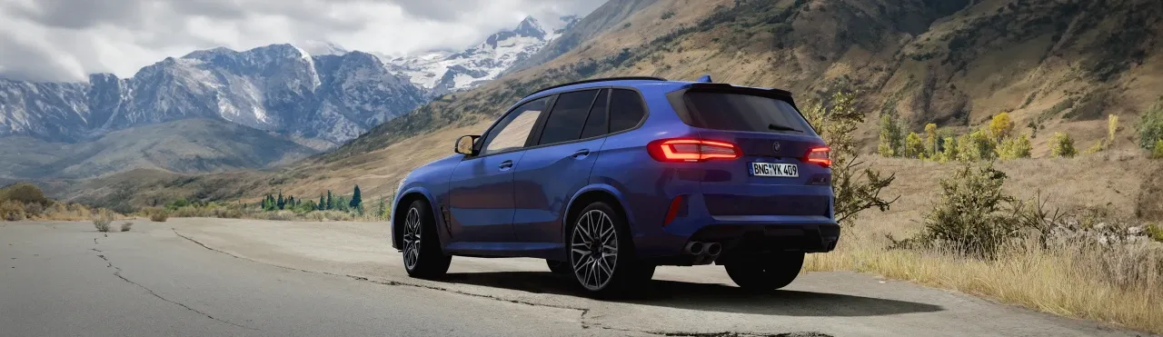 BMW X5M (F95) image 13