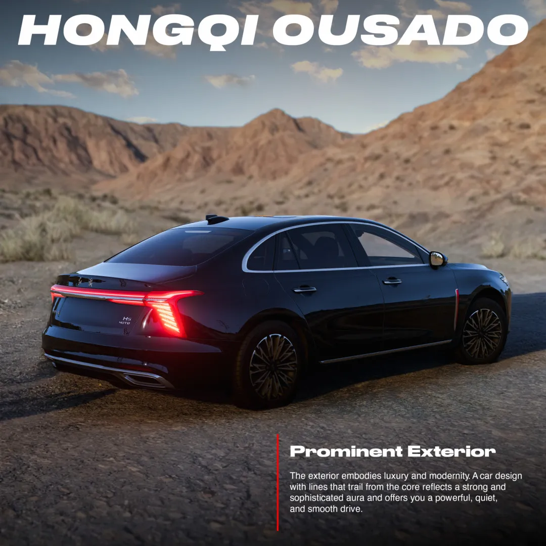 Hongqi Ousado image 5