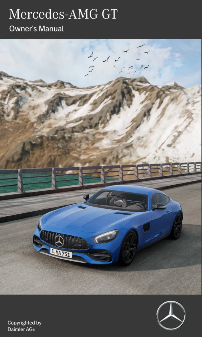 Mercedes Benz AMG GT-Series image 11