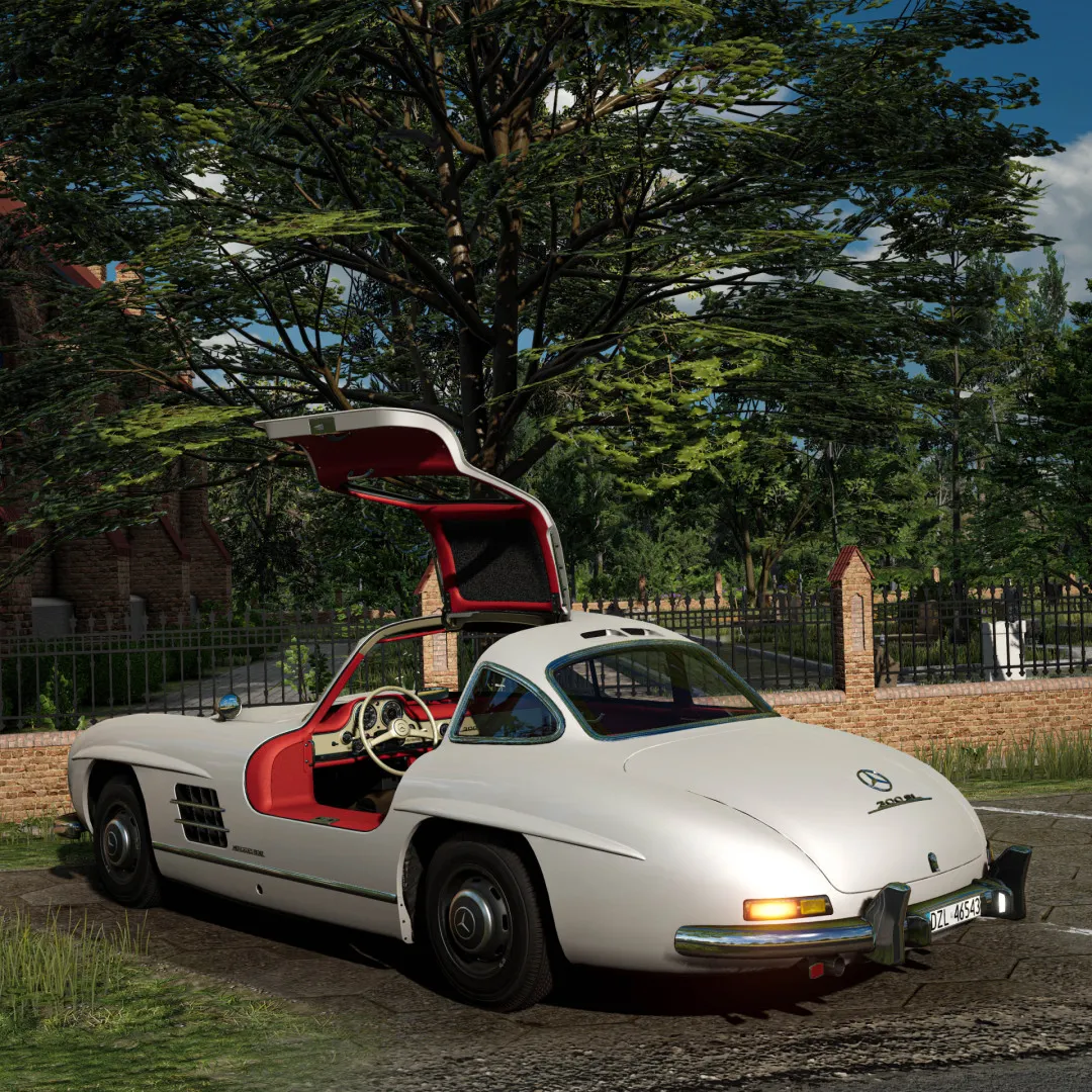 Mercedes Benz 300SL (Gullwing + Roadster) image 13