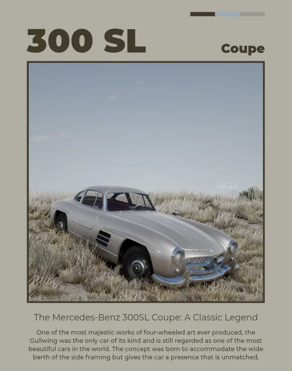 Mercedes Benz 300SL (Gullwing + Roadster) image 16