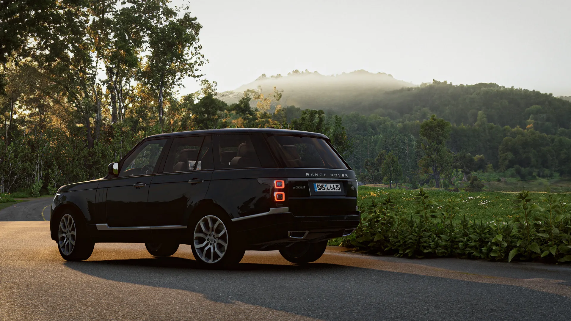Land Rover Range Rover image 25