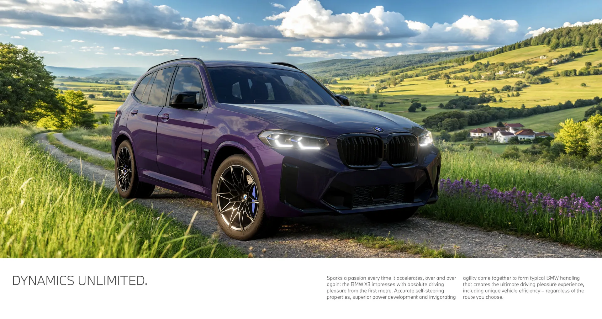 BMW X3 [PACK] image 9