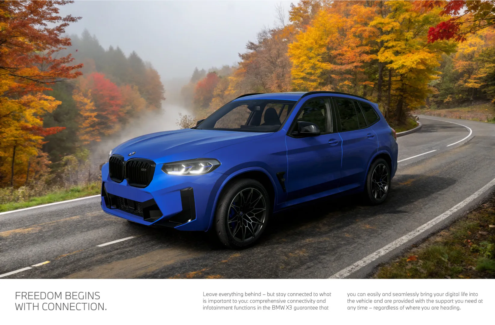 BMW X3 [PACK] image 10