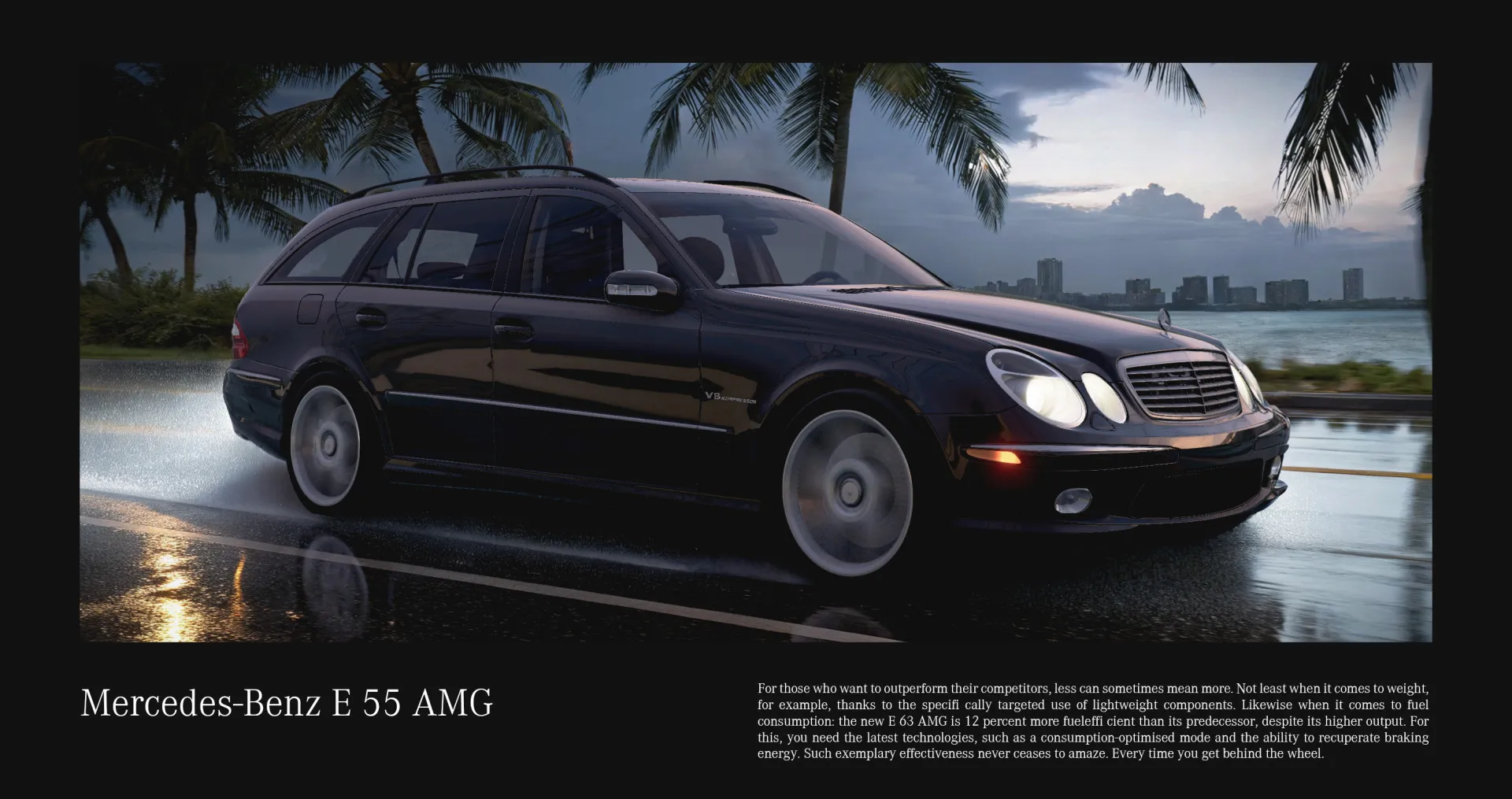 Mercedes-Benz E-Class S211 [PACK] image 5