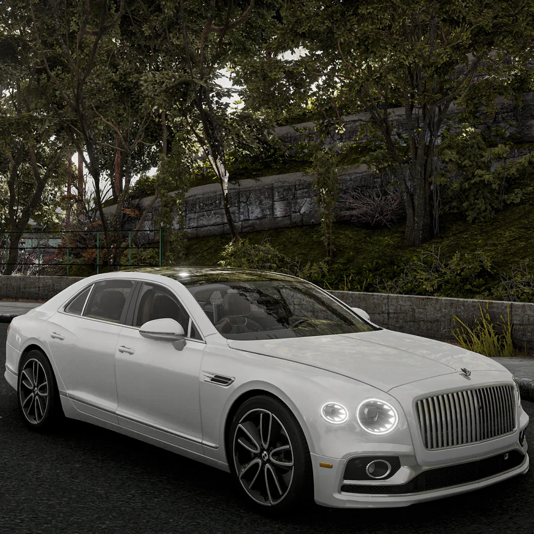 Bentley Flying Spur 2019-24 + Mansory + Keyvany + Tuscon + Mulliner + Air Suspension image 4