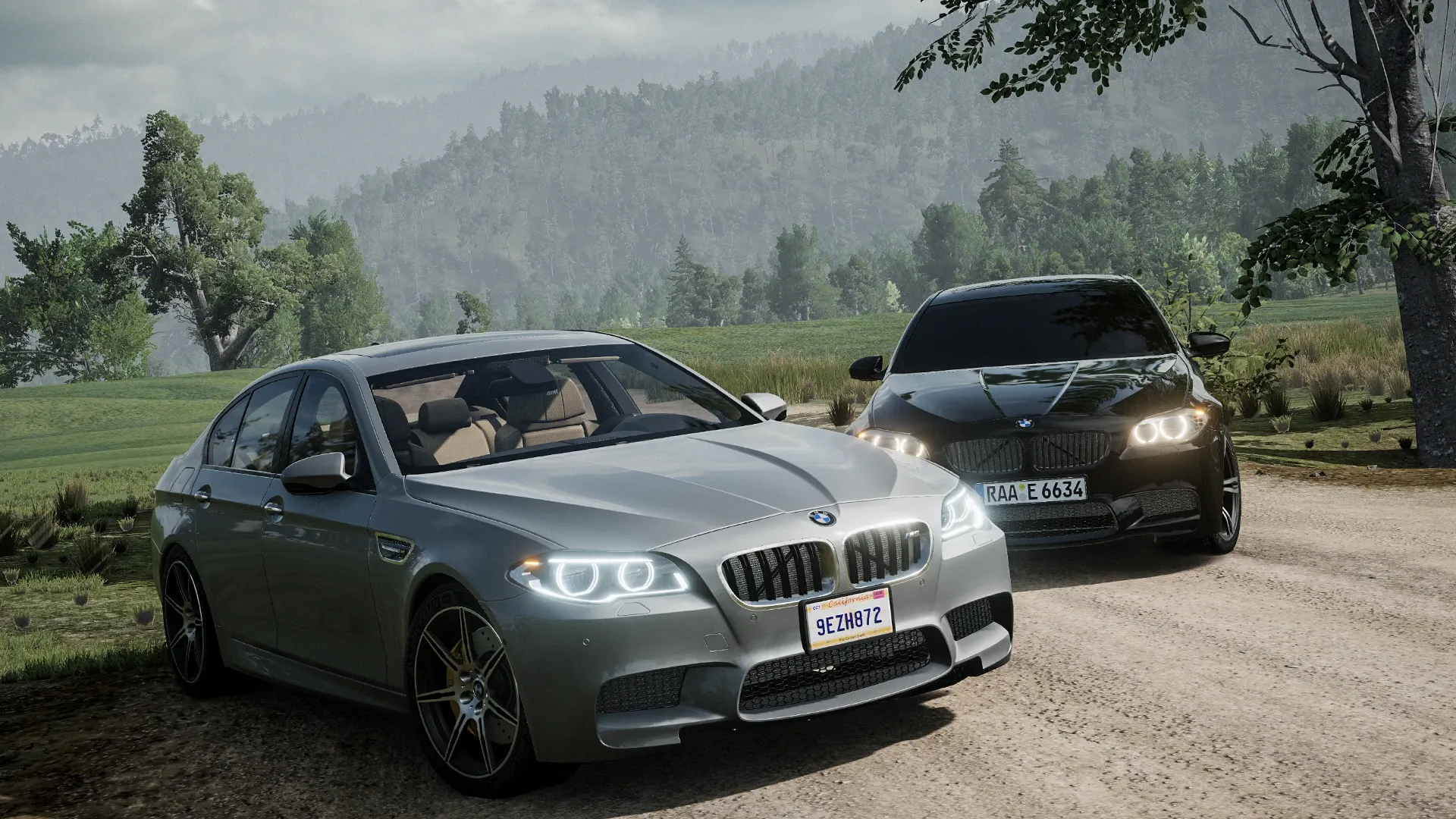 BMW F10 M5 [Glass Openable] image 15