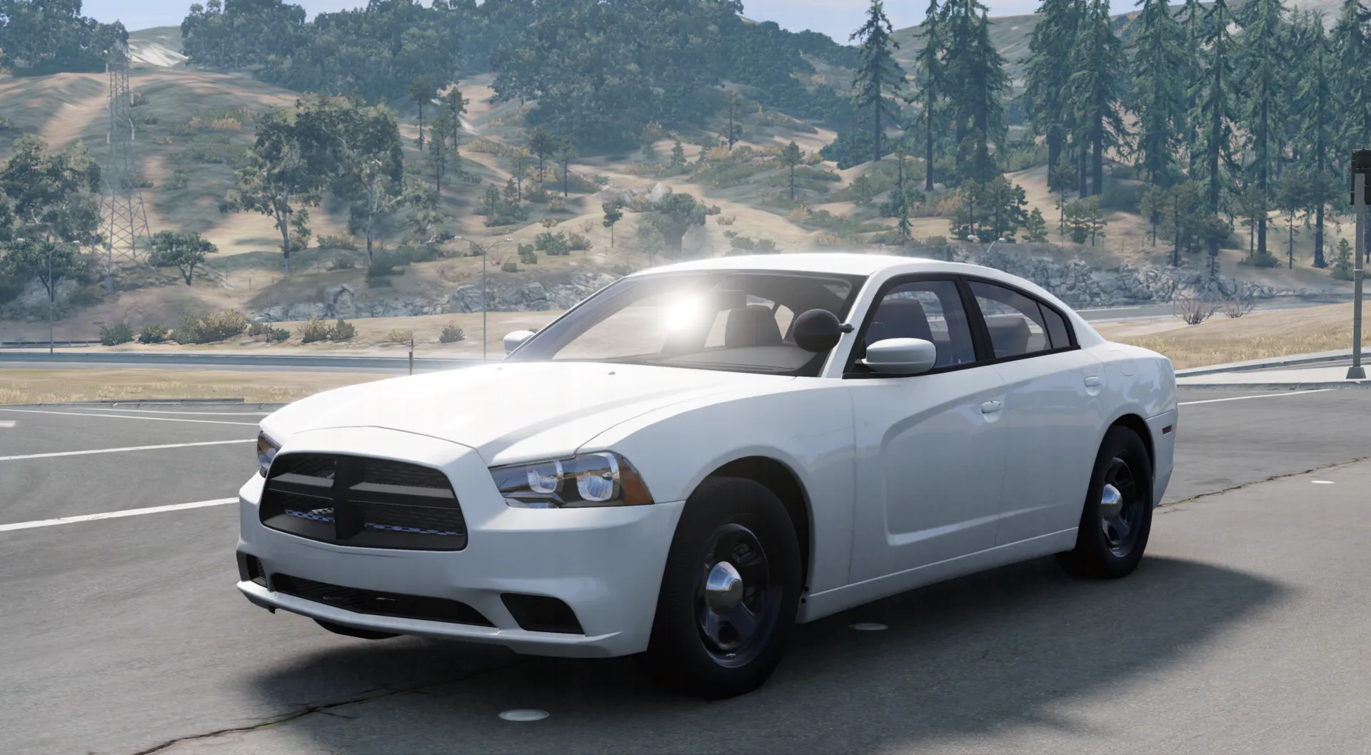 2011-2014 Dodge Charger (Police/Civ) image 19